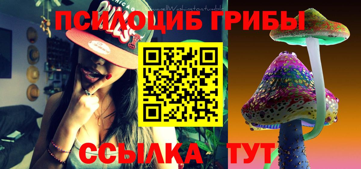 Тольятти  закладка  Галлюциногенные грибы прущие грибы  Вход с VPN  Псилоцибиновые грибы мухоморы 