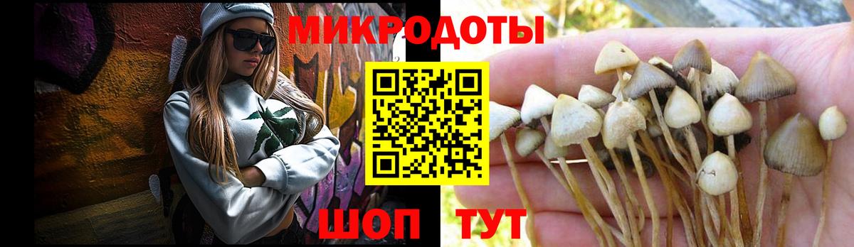 Галлюциногенные грибы мухоморы Тольятти